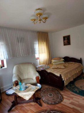 Casa Rodica